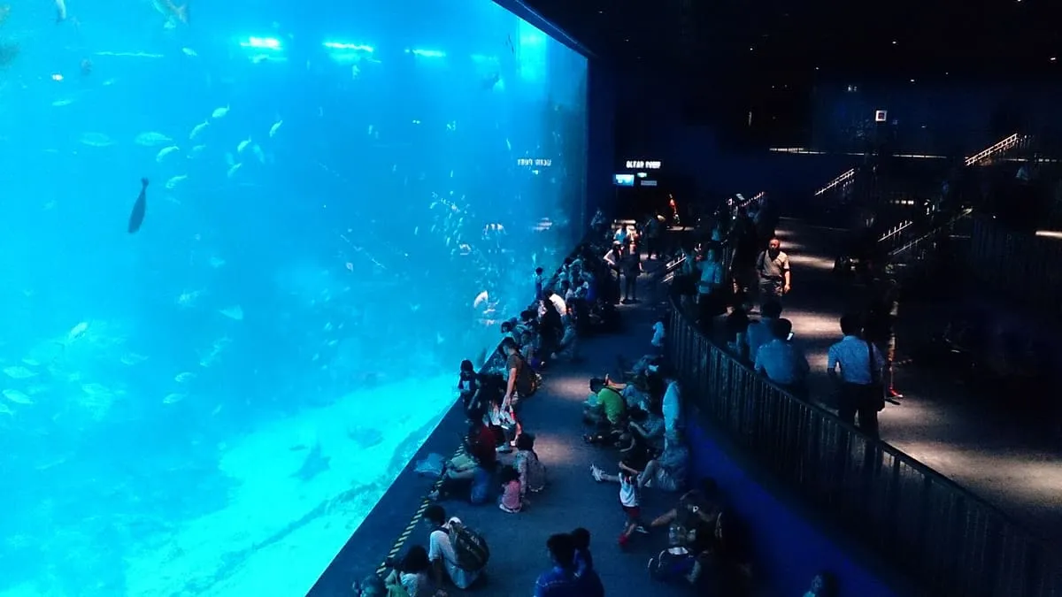 Oceanarium, Sentosa, Singapore