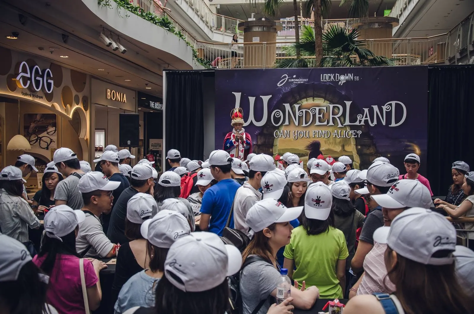 Wonderland team photo 4