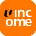 Income